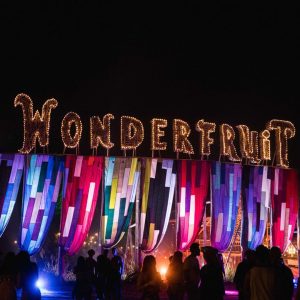 WONDERFUITS FESTIVAL